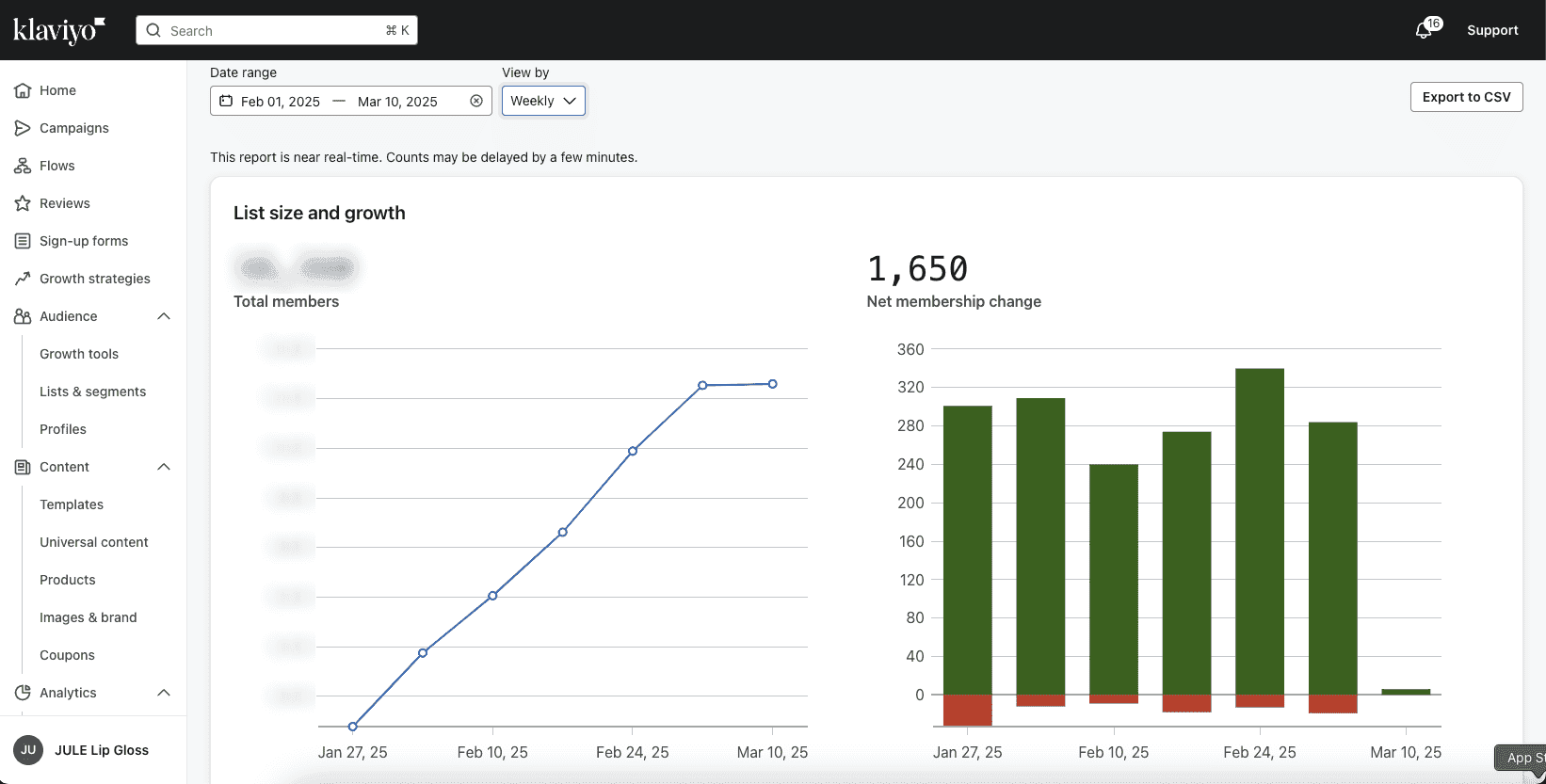Email list growth report for JULE Lip Gloss