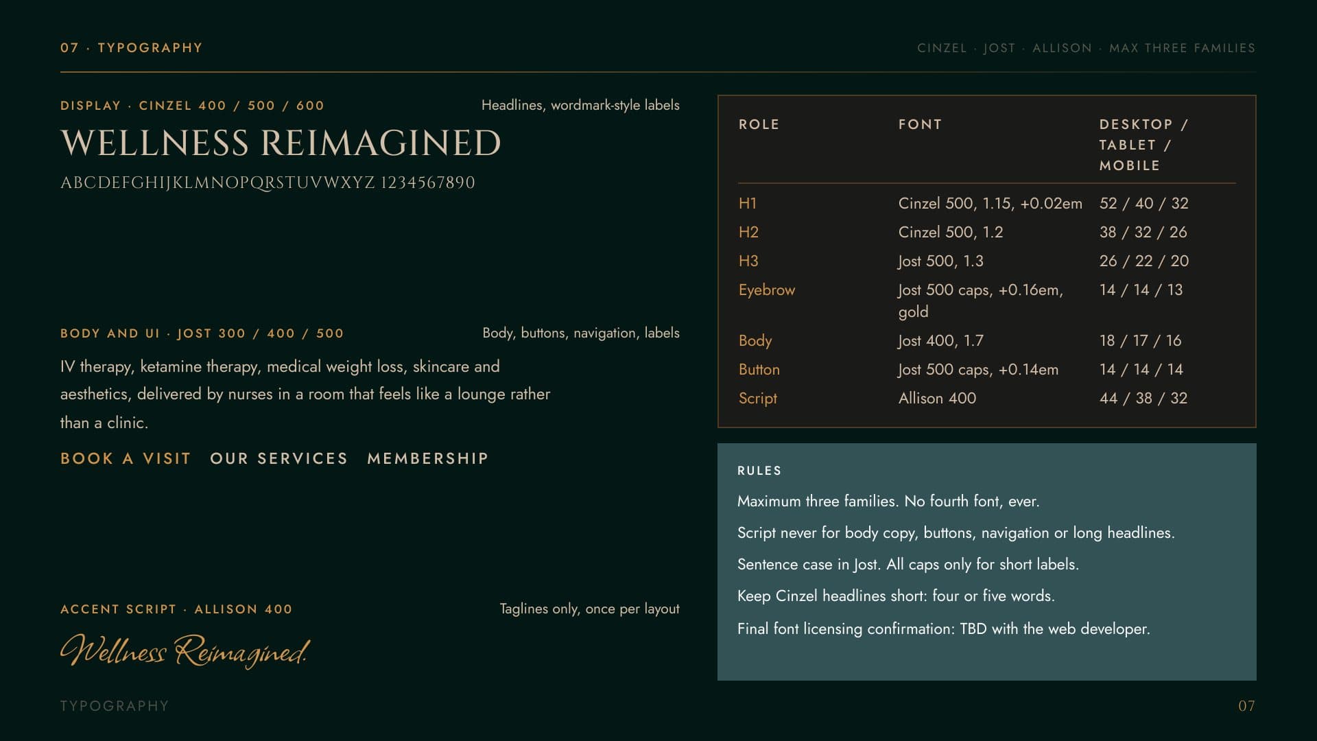 The Wellness Drip brand guide: typography