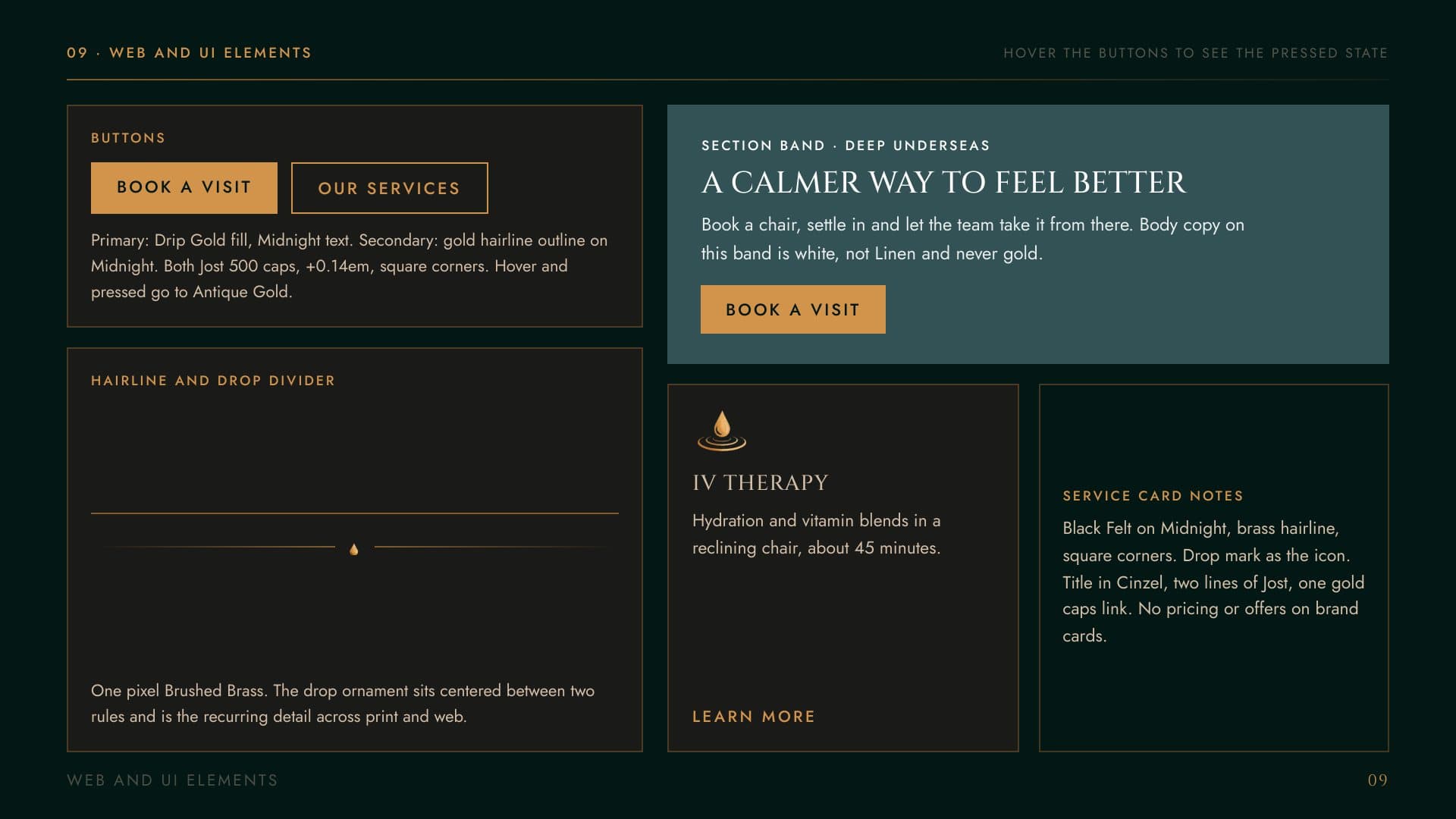The Wellness Drip brand guide: web elements