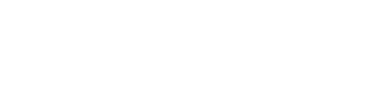 ViDARR
